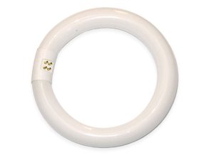 Świetlówka kołowa TL-E G10q 22W zimna 840 OSRAM