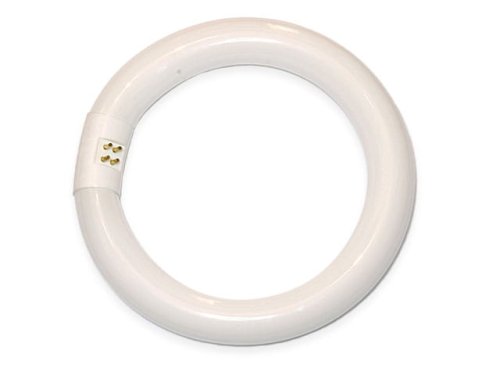 Świetlówka kołowa TL-E G10q 22W zimna 840 OSRAM swkot8.jpg