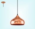 Lampa wisząca metalowa 1x R 49449 